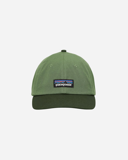 Patagonia P-6 Label Trad Cap Terrain Green  Hats Caps 38296 TNGR