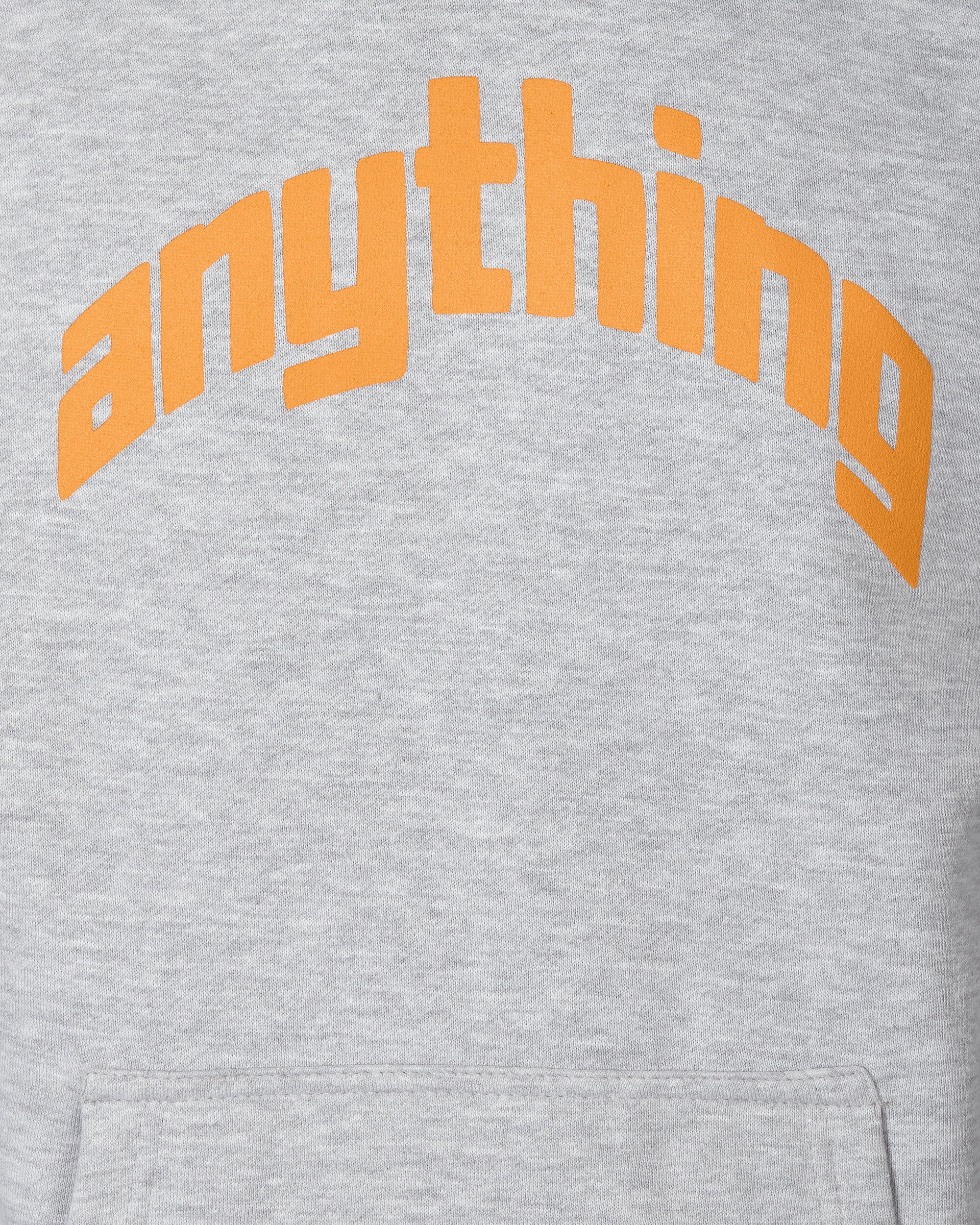 aNYthing Curved Logo Hoodie Heater Grey Sweatshirts Hoodies ANY-083 HG