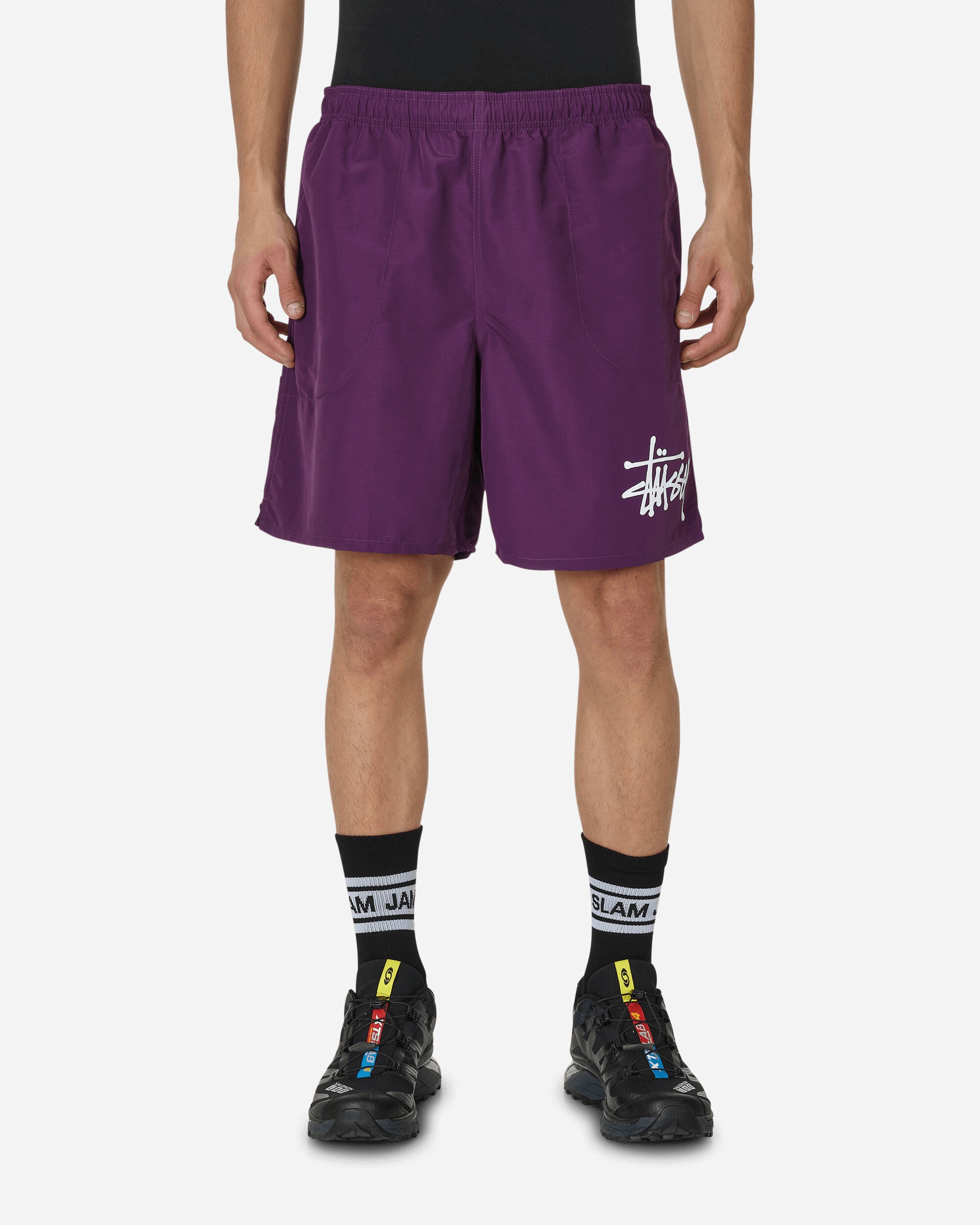 Big Basic Water Shorts Plum