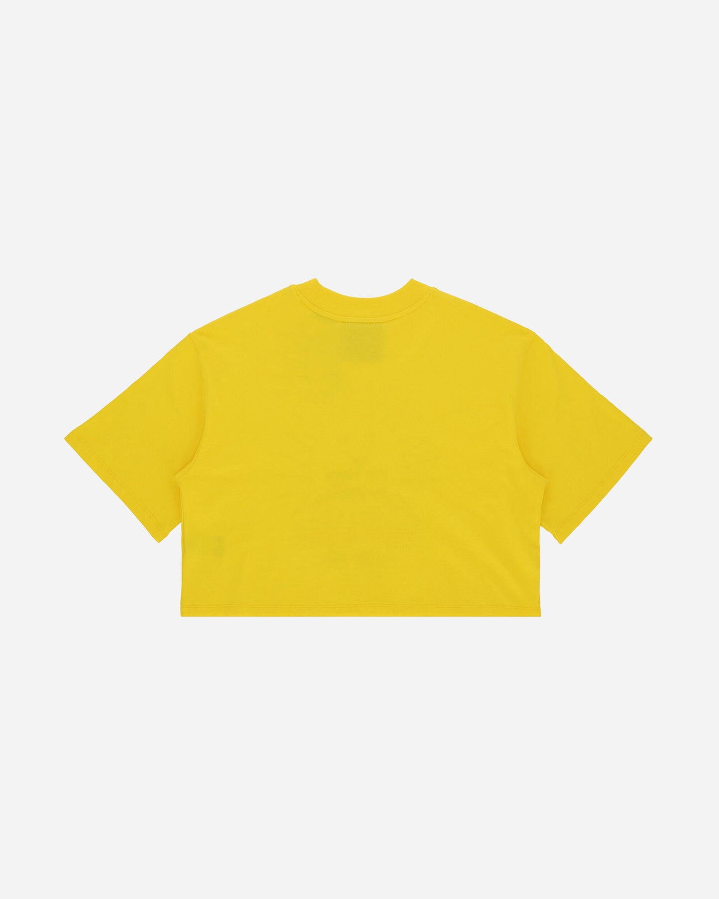 The North Face Project X Tnf X Oc W T-Shirt Lightning Yellow T-Shirts Shortsleeve NF0A84RU RR81